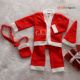 Santa's Delight Dress for Baby Boys & Baby Girls